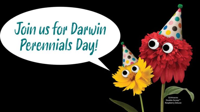 Darwin Perennials Day banner image