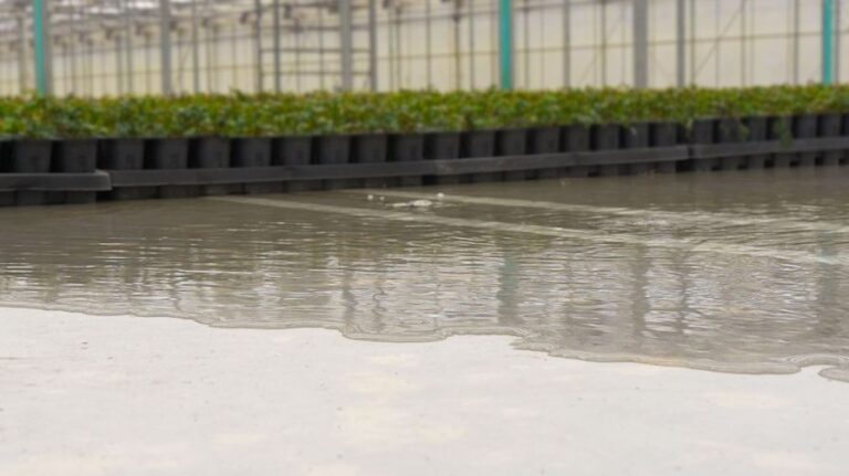 Flood Floors at Spring Meadow Nursery