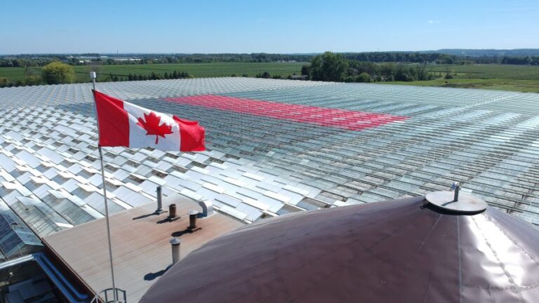 aerial view and Canadian flag of Freeman Herb solar and agrivoltaics roofing equipment