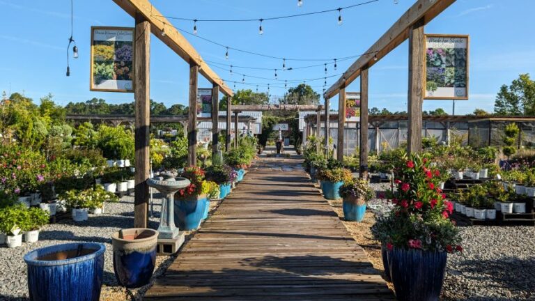 The Gardens of Southeastern North Carolina the 11th Proven Winners Signature Garden walkway