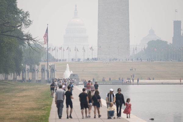 wildfire smoke washington mall