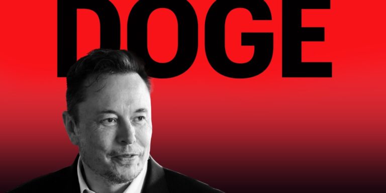 Elon Org Doge