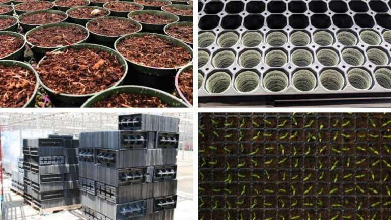 Pots and Tray and Containers Prefilled Stacking Best Practices