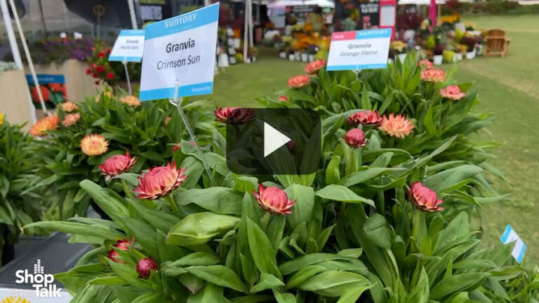 2025 04 14 Granvia Series Improvements From Suntory Flowers00 01 59 23.Feature