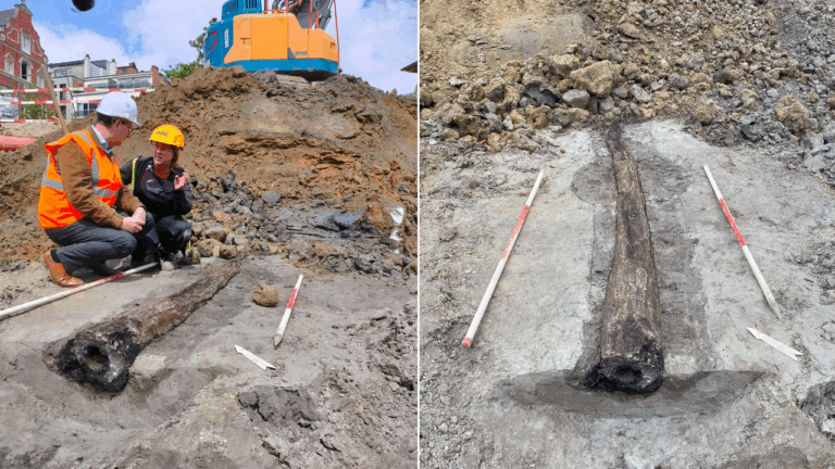 belgium water pipe discovery 2